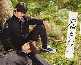 嘉兴网站怎么优化