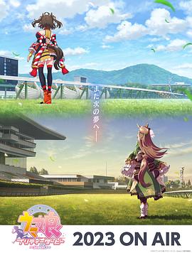 龙溪seo优化多少钱